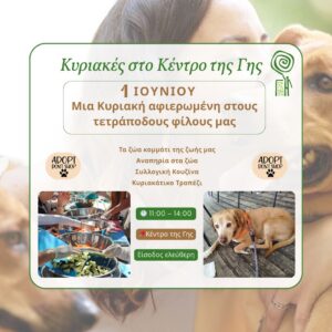 Μια Κυριακή αφιερωμένη στους τετράποδους φίλους μας